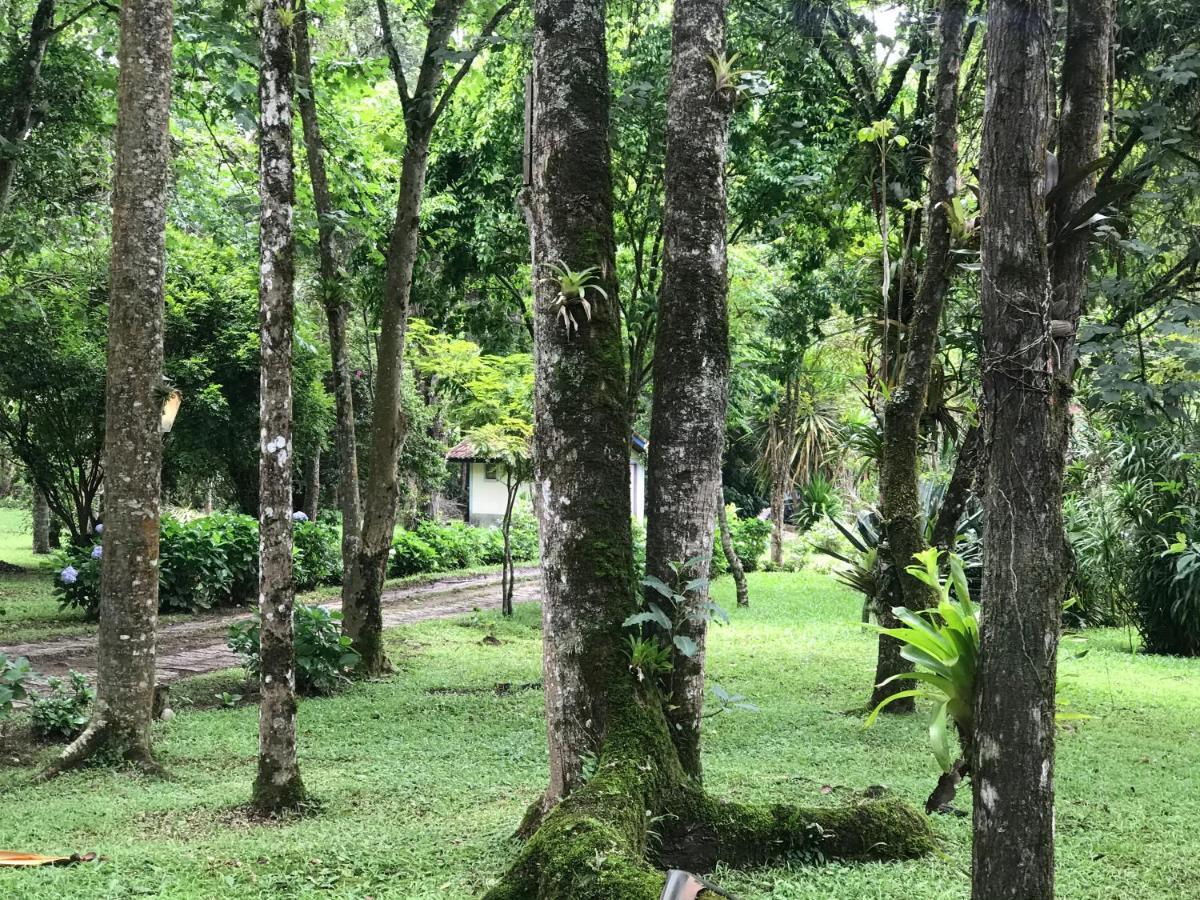 Terra Verde Maua Hotel Visconde De Maua Luaran gambar